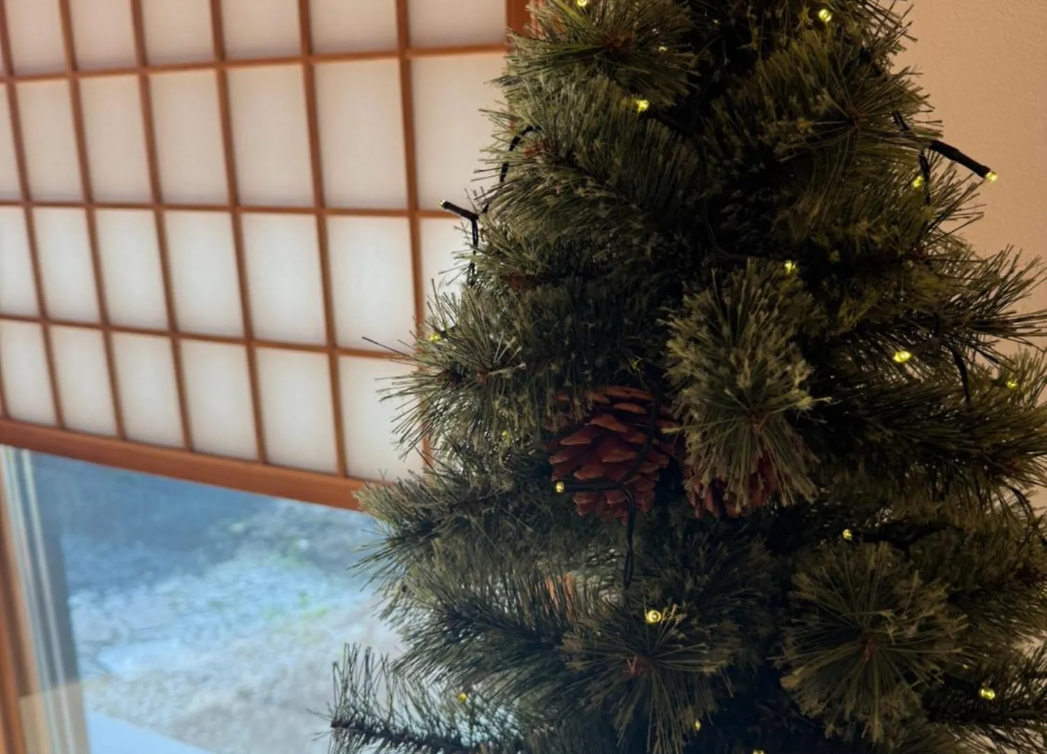 洞爺 Private Inn Kazu Toyako Feriehus